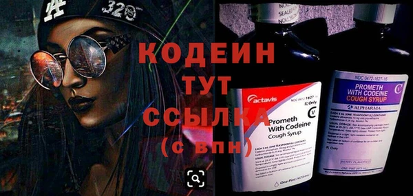 молекула духа Арсеньев
