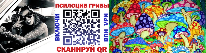 маркетплейс как зайти  omg вход  Новосиль  как найти   Псилоцибиновые грибы Cubensis 