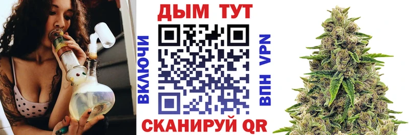 цена   Новосиль  Бошки Шишки тримм 